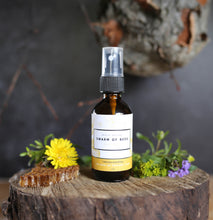 Load image into Gallery viewer, Swarm of Bees Room Spray 2oz
